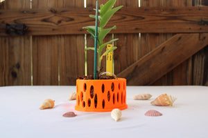 Neon Orange Orchid Basket