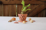 Load image into Gallery viewer, Terracotta Peach Orchid Pot
