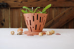 Load image into Gallery viewer, Terracotta Peach Orchid Pot
